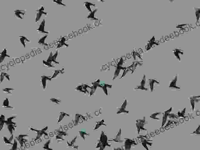 A Flock Of Winter Swallows Flying Over A Snow Covered Landscape Winter Swallows (Commissario Ricciardi) Ladislav Bittman