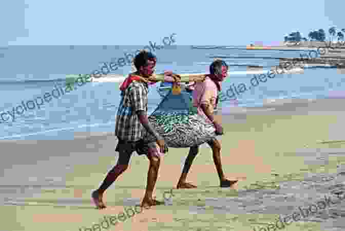 A Human Fishing From The Beach. COLLECTING SEASHELLS AS A HOBBY GUIDE FOR BEGINNER S: Warm Climate Attracts Many Humans To The Beach For Water Activities