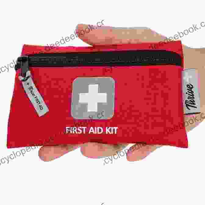A Person Packing A First Aid Kit For Travel Booktrip Travel Guide Barcelona: Perfectly Prepared For Your Barcelona City Trip Including 16 Chapters Travel Routes Insidertips: Travel Planning Made Easy
