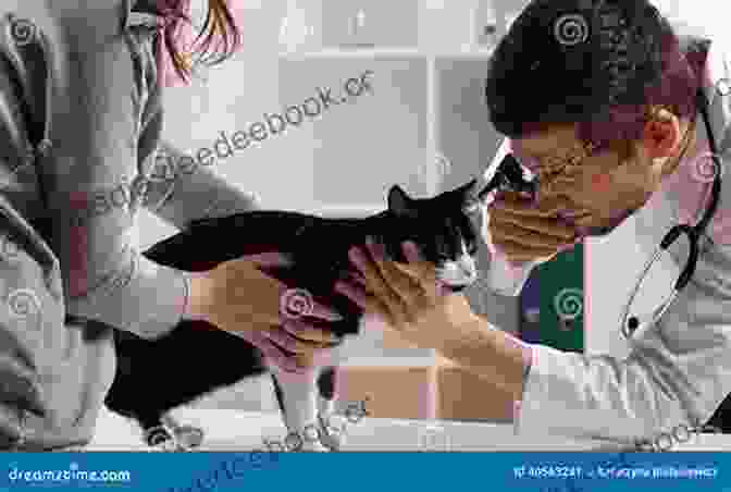 A Veterinarian Examining A Mafdet Claws Cat, Highlighting The Importance Of Regular Health Checkups Mafdet S Claws (Feline Nation 2)