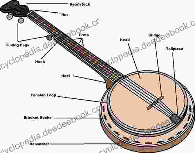 An Interactive Diagram Showcasing The Components Of A Banjo, With Clickable Elements For Further Exploration Complete Banjo Diane Pecknold