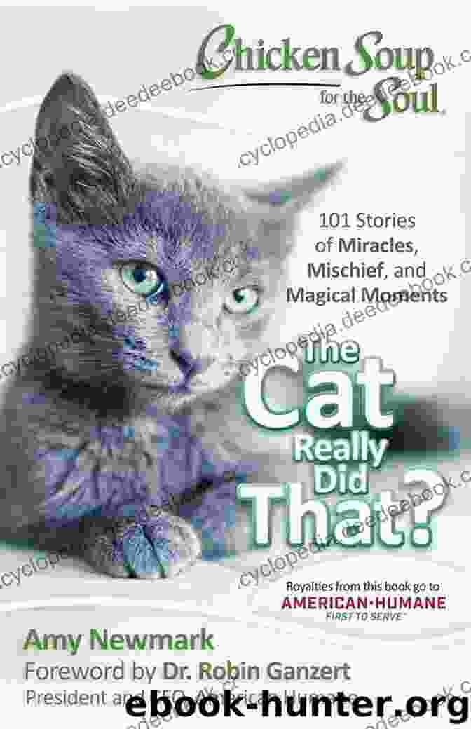 Snowball The Cat Chicken Soup For The Soul: The Cat S Done It Again : 20 Stories About Those Goofy Mischievous Cats From Chicken Soup For The Soul: The Cat Really Did That?