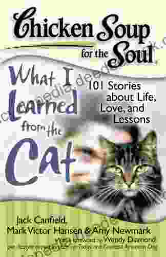 Chicken Soup For The Soul: What I Learned From The Cat: 101 Stories About Life Love And Lessons