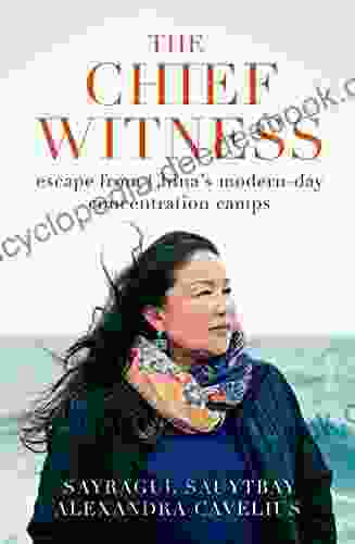 The Chief Witness: Escape From China S Modern Day Concentration Camps