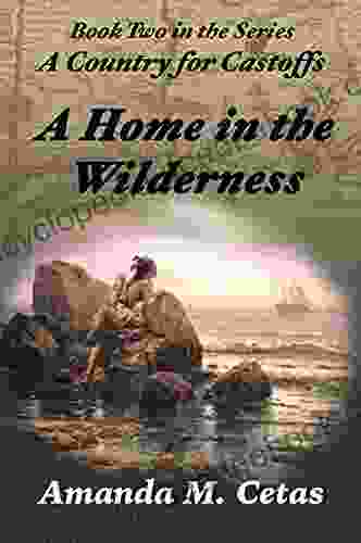 A Home In The Wilderness (A Country For Castoffs 2)