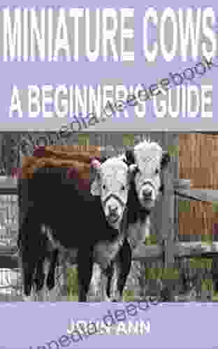 Miniature Cows: A Beginner S Guide