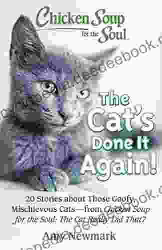 Chicken Soup For The Soul: The Cat S Done It Again : 20 Stories About Those Goofy Mischievous Cats From Chicken Soup For The Soul: The Cat Really Did That?