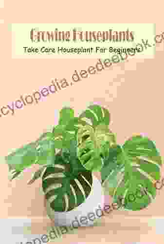 Growing Houseplants: Take Care Houseplant For Beginners: Making Houseplants